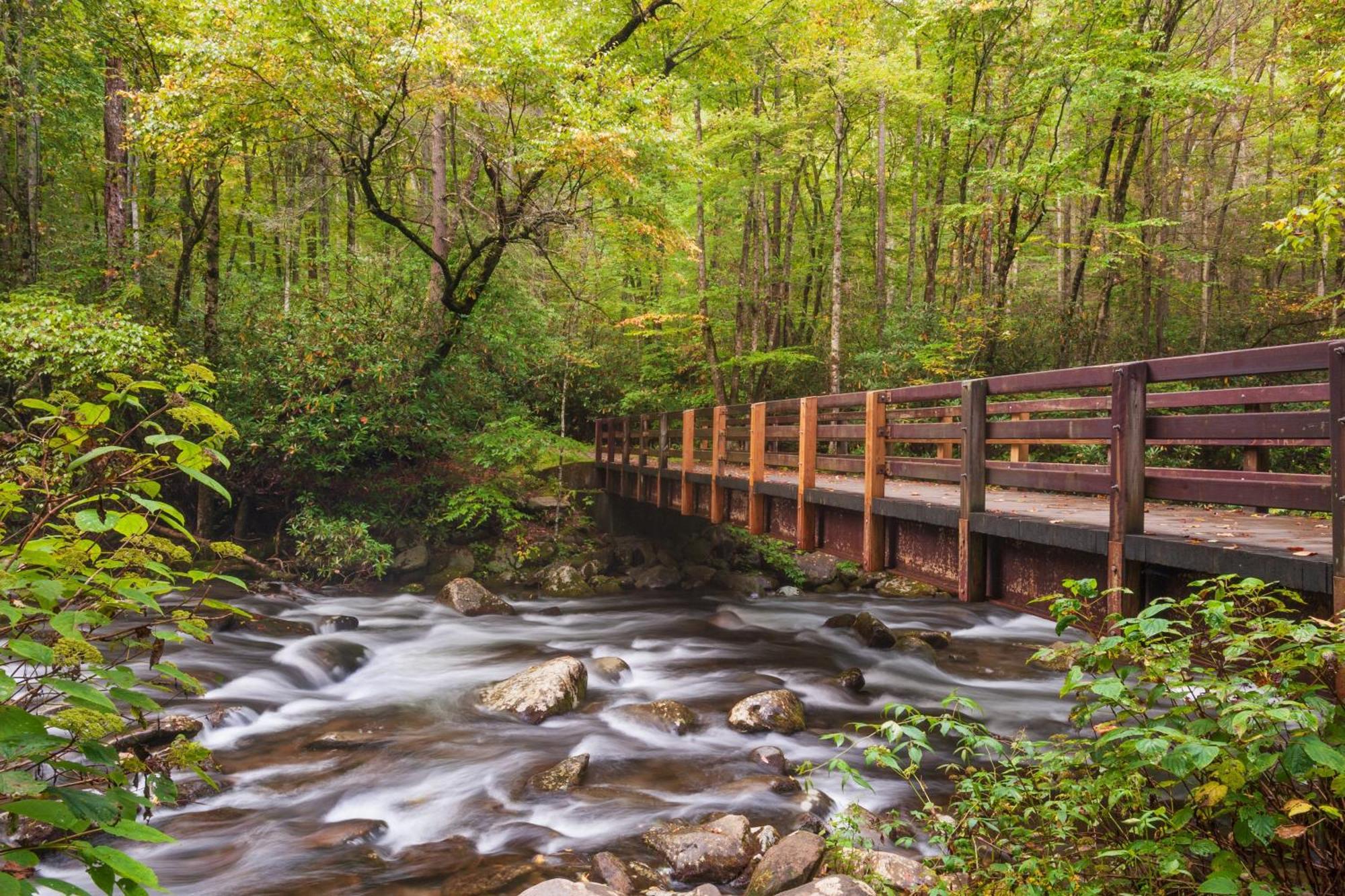 Sweet Seclusion, Hot Tub, Air Hockey, Wifi, 1089 Free Tickets Each Paid Day, Dollywood And More 세비어빌 외부 사진